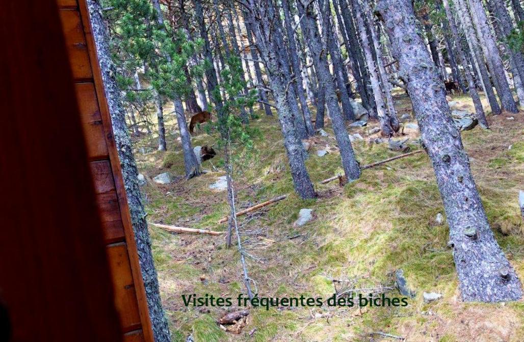 Chalet Vue Sous Cet Angles Esterno foto
